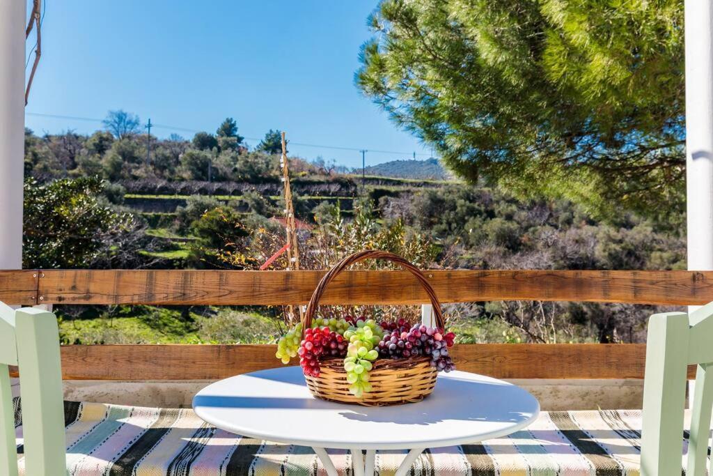 סקופלוס טאון Villa Ambeli מראה חיצוני תמונה