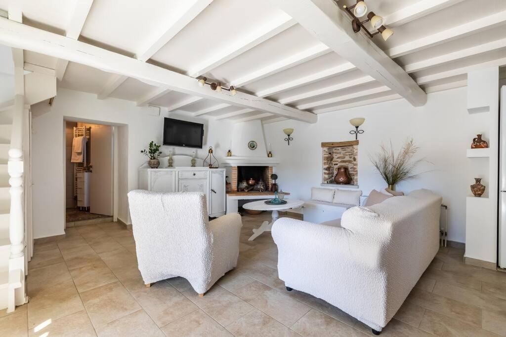 סקופלוס טאון Villa Ambeli מראה חיצוני תמונה