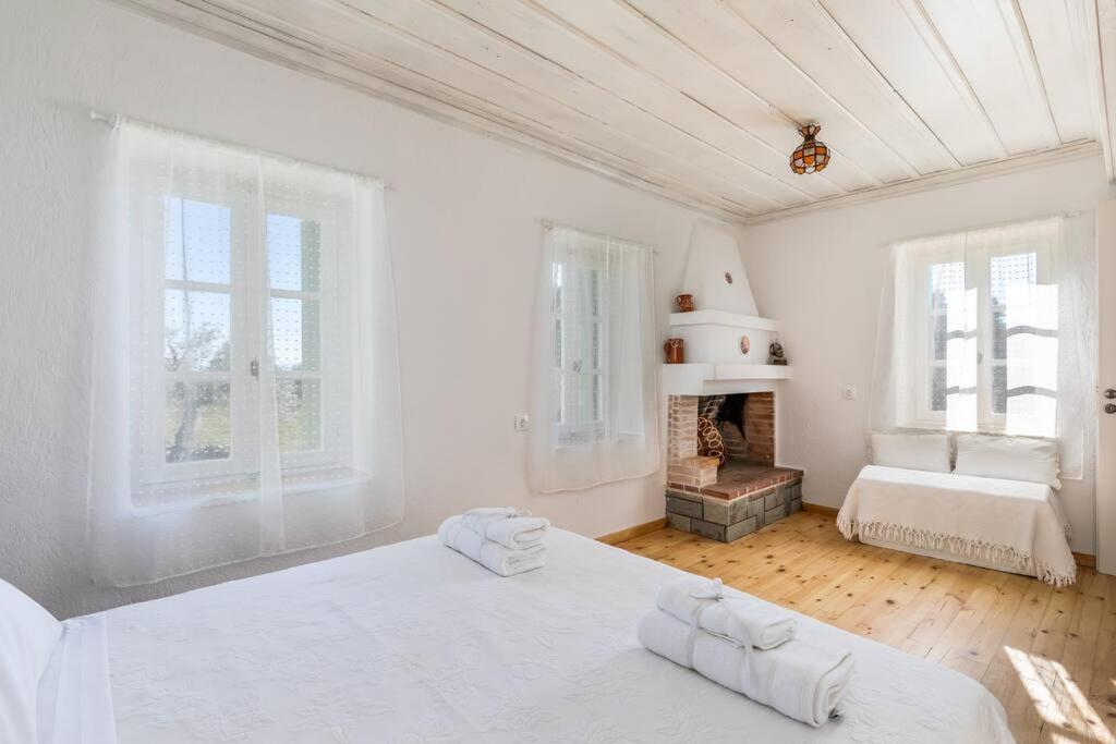 סקופלוס טאון Villa Ambeli מראה חיצוני תמונה