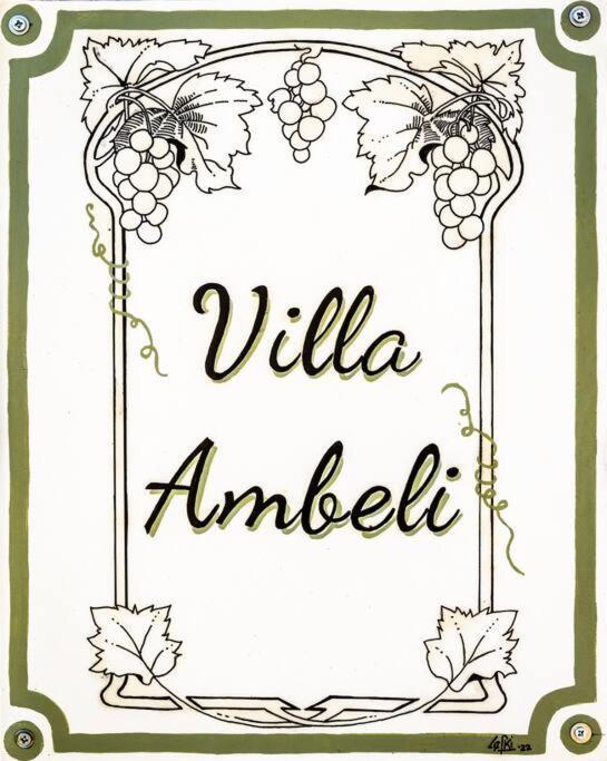 סקופלוס טאון Villa Ambeli מראה חיצוני תמונה